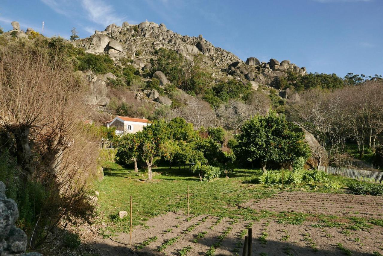 Quinta De Sao Pedro De Vir-A-Corca Em Monsanto Bed & Breakfast Екстериор снимка
